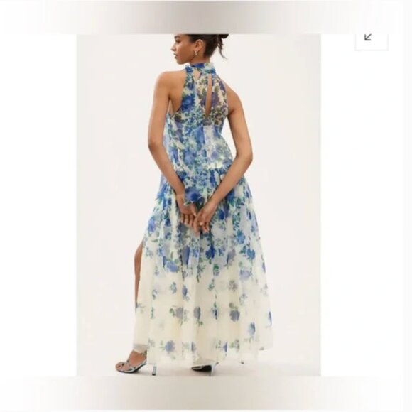 Anthropologie BHLDN Kendall High-Neck Scarf Floral Organza Maxi Dress size S - Picture 2 of 15
